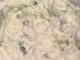 Easy Tzatziki Sauce Recipe