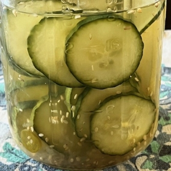 Sesame Lemon Sweet Pickles Recipe Sesame Lemon Sweet Pickles Recipe